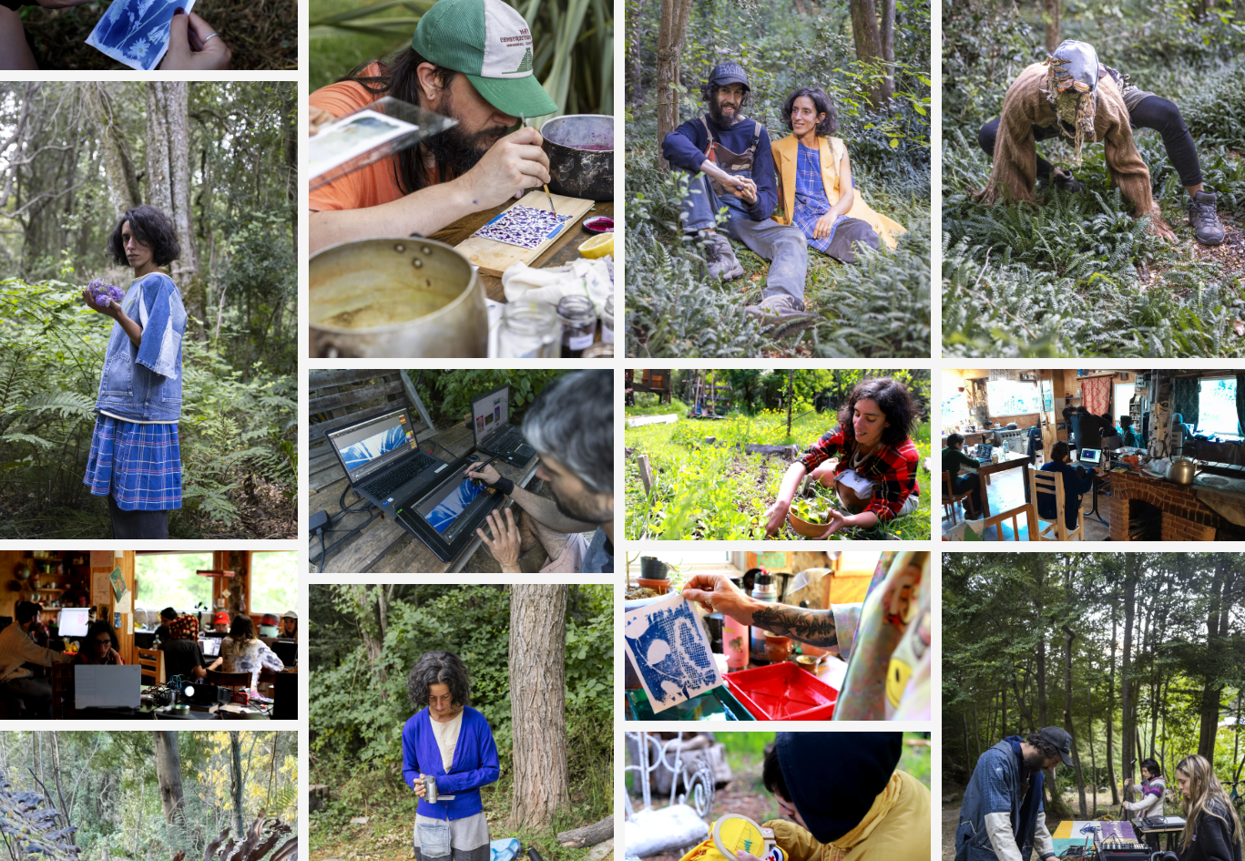 BosqueGracias - residencias y laboratorio en la Patagonia